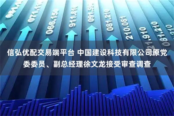 信弘优配交易端平台 中国建设科技有限公司原党委委员、副总经理徐文龙接受审查调查