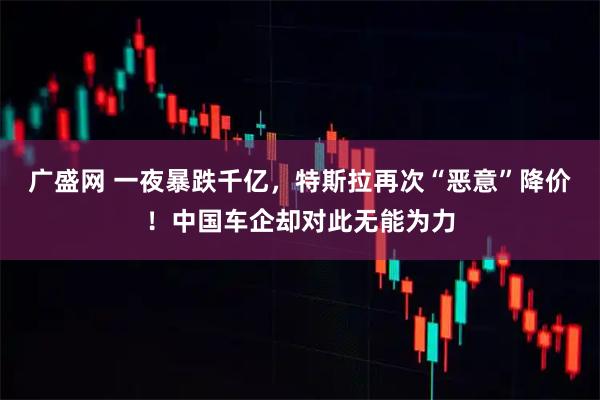 广盛网 一夜暴跌千亿，特斯拉再次“恶意”降价！中国车企却对此无能为力