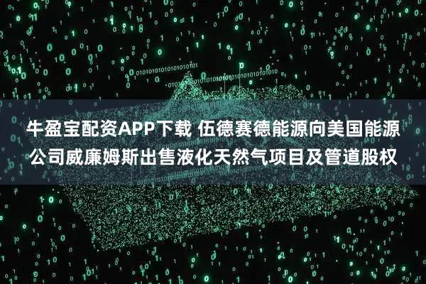牛盈宝配资APP下载 伍德赛德能源向美国能源公司威廉姆斯出售液化天然气项目及管道股权