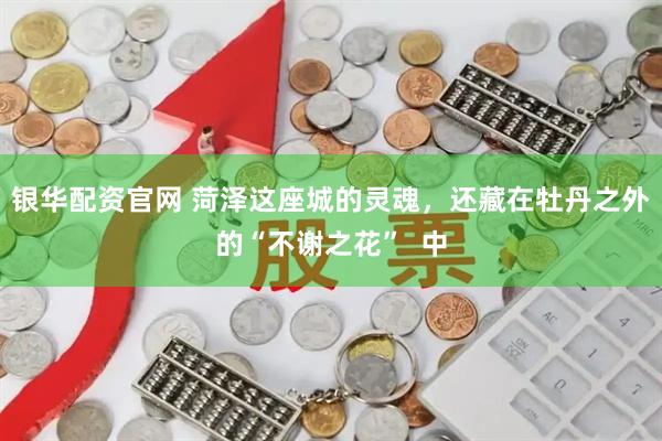 银华配资官网 菏泽这座城的灵魂，还藏在牡丹之外的“不谢之花”  中